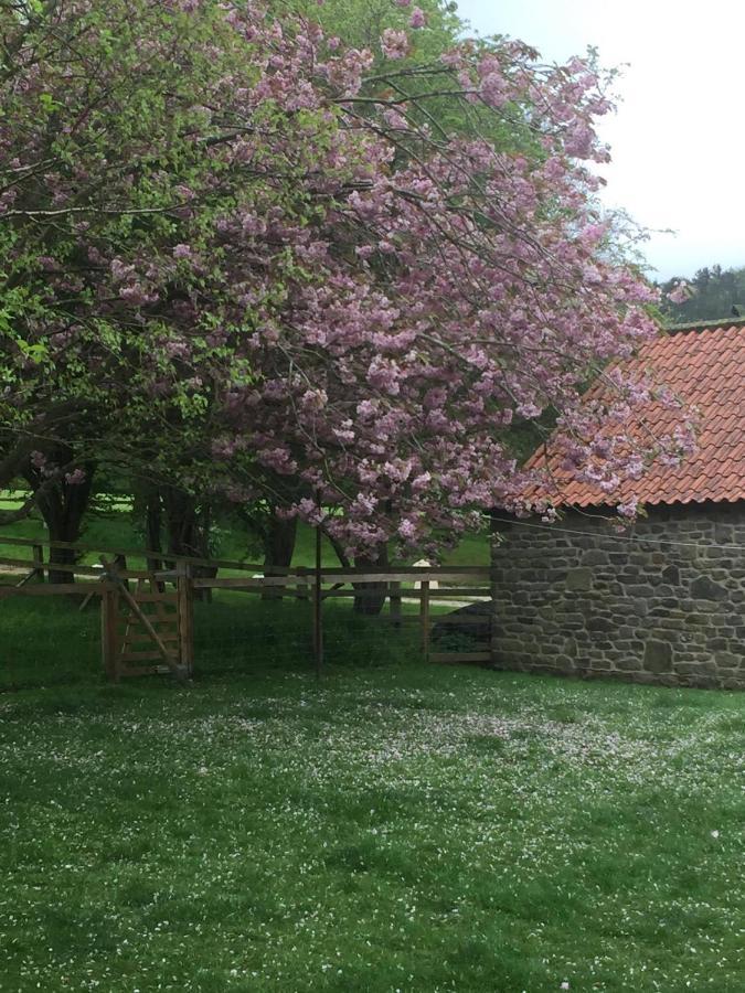 The Barn Guest House And Tearoom Hutton le Hole Exterior foto