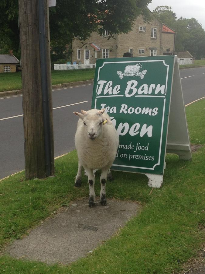 The Barn Guest House And Tearoom Hutton le Hole Exterior foto